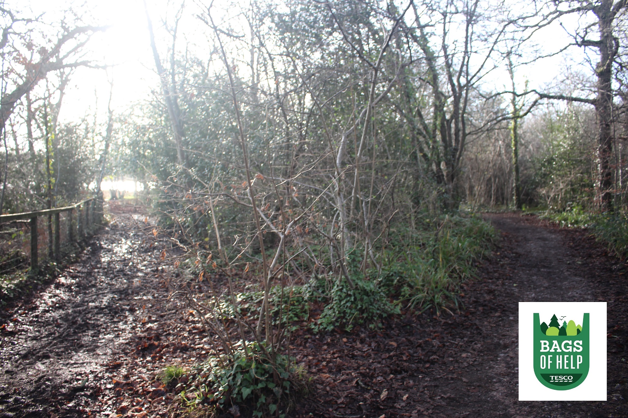 Exciting new interactive walkway receives £8k award from Tesco’s Bags of Help campaign